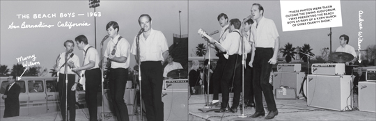 Wild Honey Records ZINE article - Hey Mr. Dee-Jay! Part 3