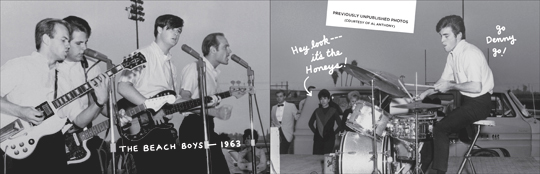 Wild Honey Records ZINE article - Hey Mr. Dee-Jay! Part 4