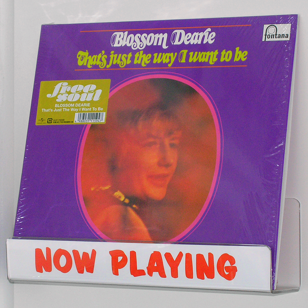BLOSSOM_DEARIE_now_playing_vinyl_wild_honey_records_knoxville_tennessee_record_store