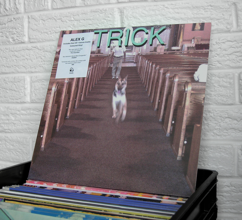 Wild Honey Records Vintage & New Vinyl Record Store in Knoxville