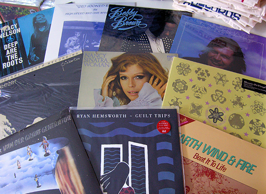 vinyl records at wild honwy knoxville tennessee record store