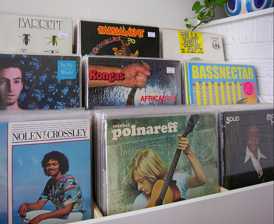 july12_vinyl_records_wild_honey_record_store_knoxville