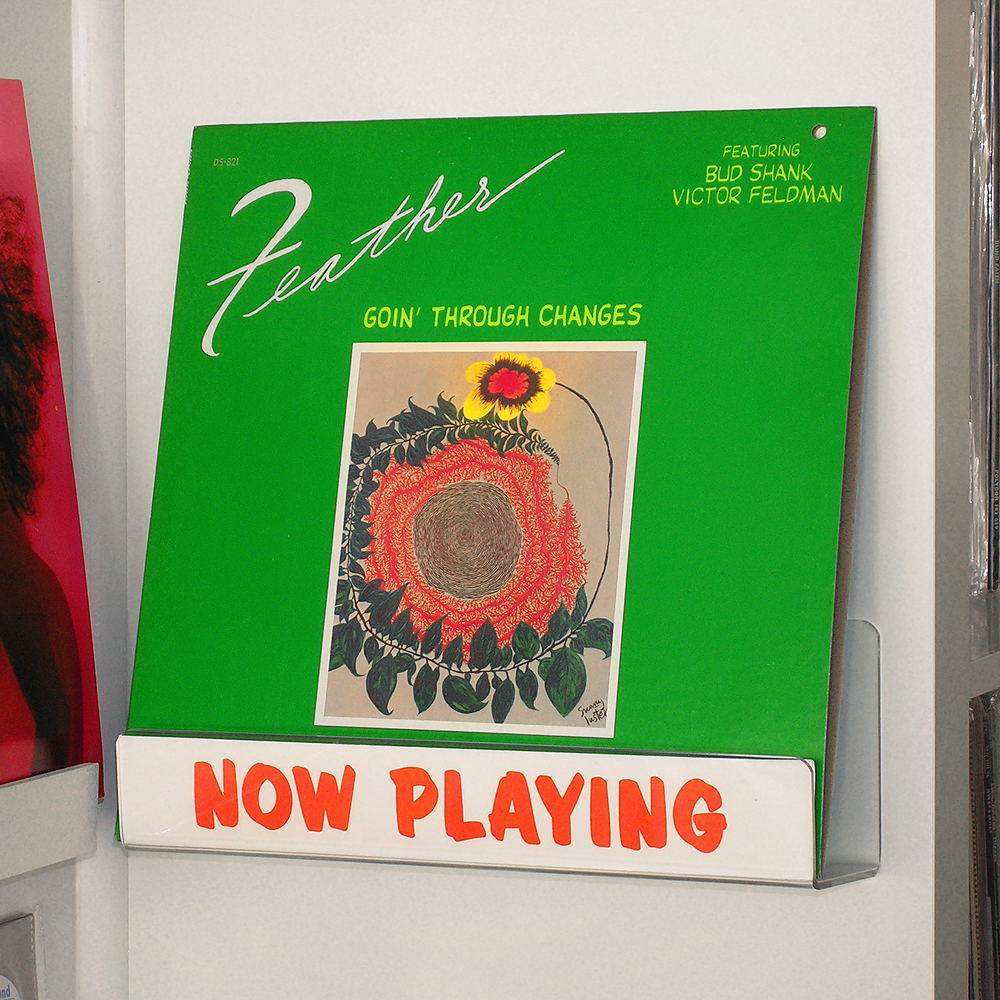 feather_vinyl_wild_honey_records_tennessee