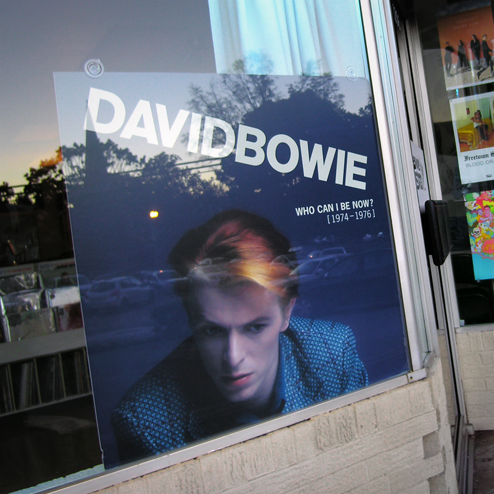 david_bowie_boxset_display_wild_honey_knoxville_tennessee_vinyl_record_store