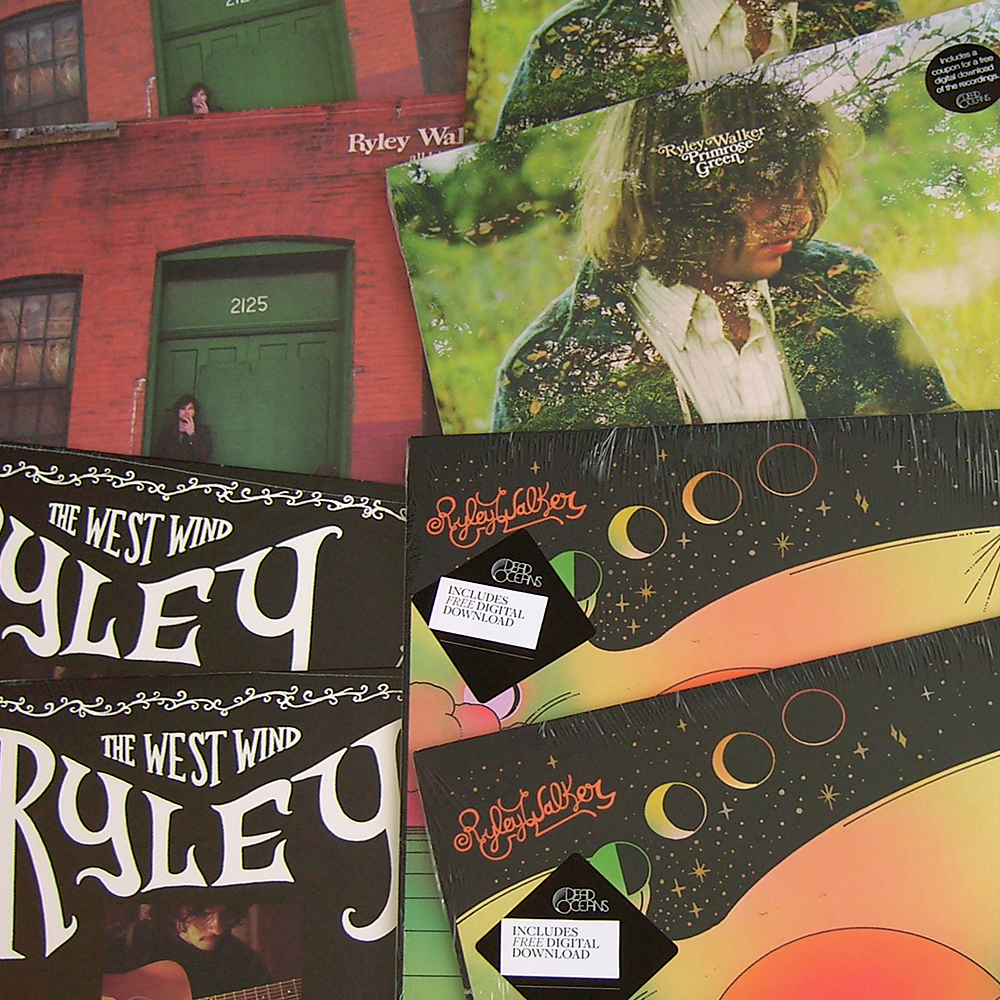 ryley walker instore 