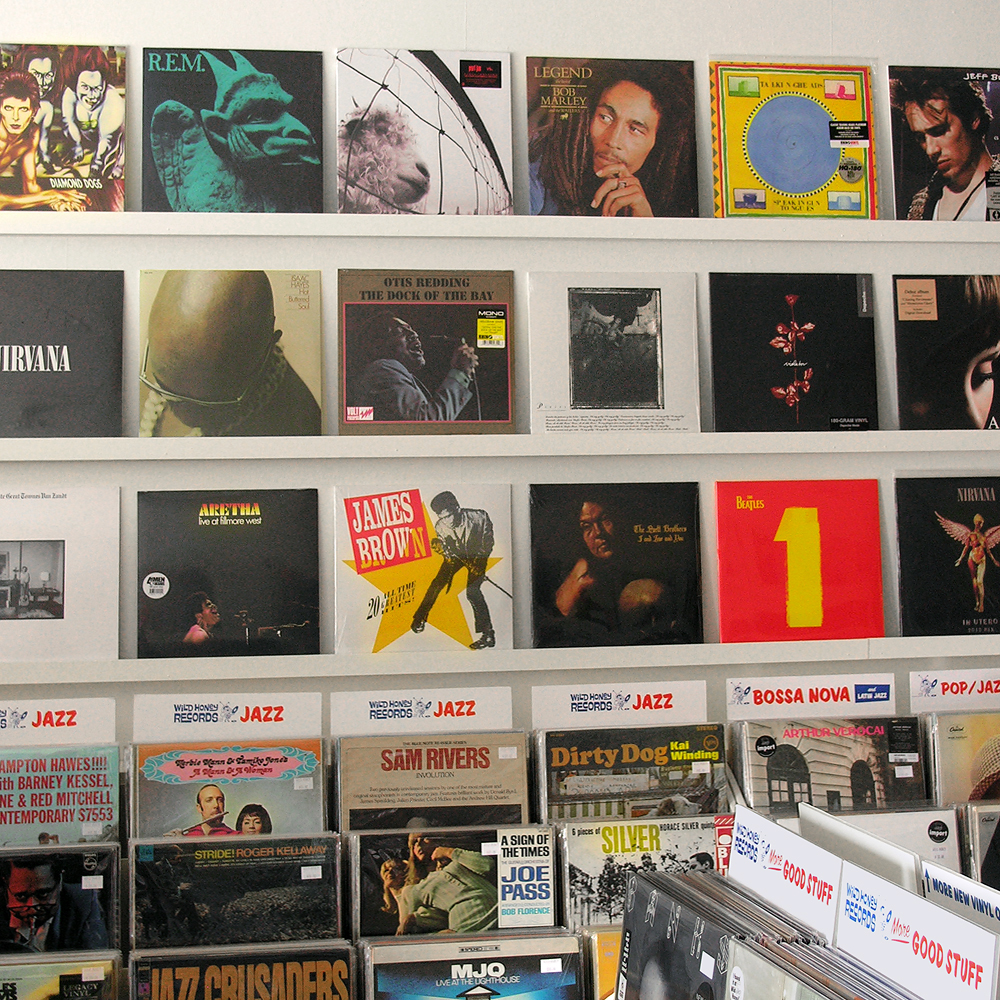 more_great_gift_ideas_wild_honey_records_vinyl_record_store_knoxville_tennessee_2016