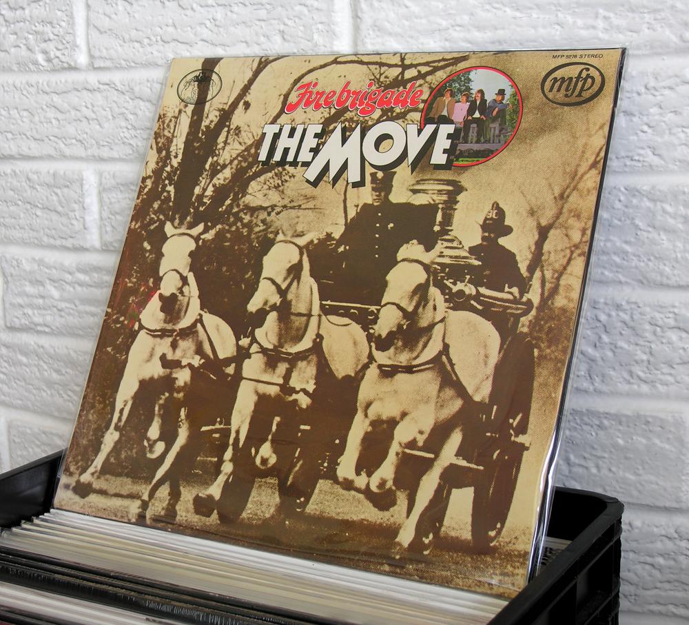 Wild Honey Records Vintage & New Vinyl Record Store in Knoxville Tennessee