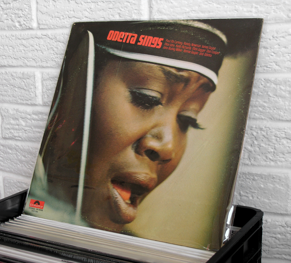 Wild Honey Records Vintage & New Vinyl Record Store in Knoxville