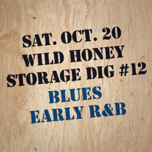 vintage vinyl - blues LPs