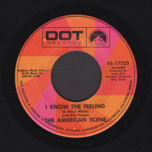 THE AMERICAN SCENE 45