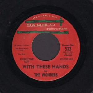 THE WONDERS 45