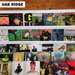 vintage vinyl in our oak ridge record store on black friday