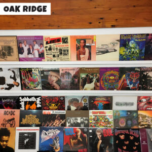 more vintage vinyl in our oak ridge record store on black friday