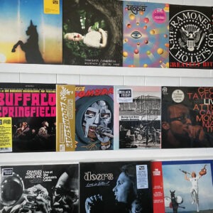 BLACK FRIDAY vinyl records at Wild Honey Records in Knoxville